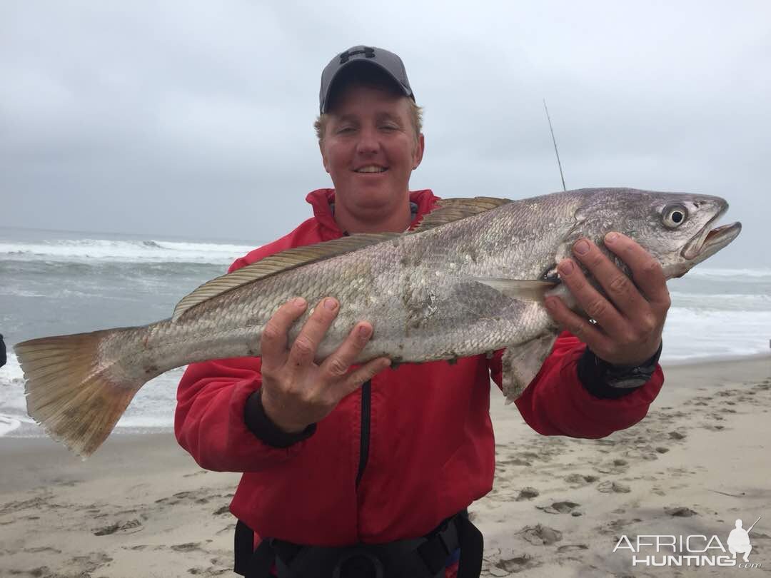 Fishing Silver Kob in Namibia