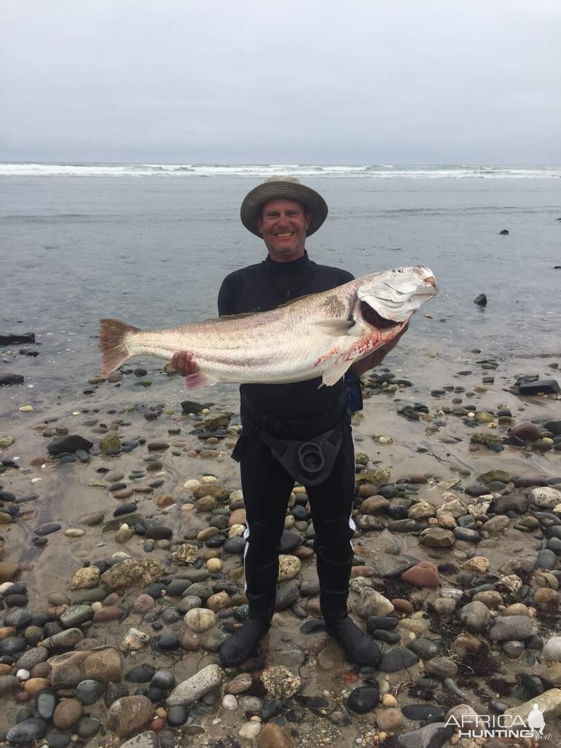 Fishing Silver Kob in Namibia