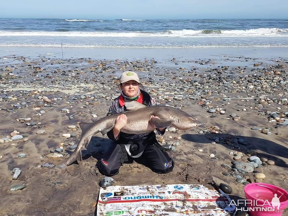 Fishing Spotted Gully Shark in Namibia