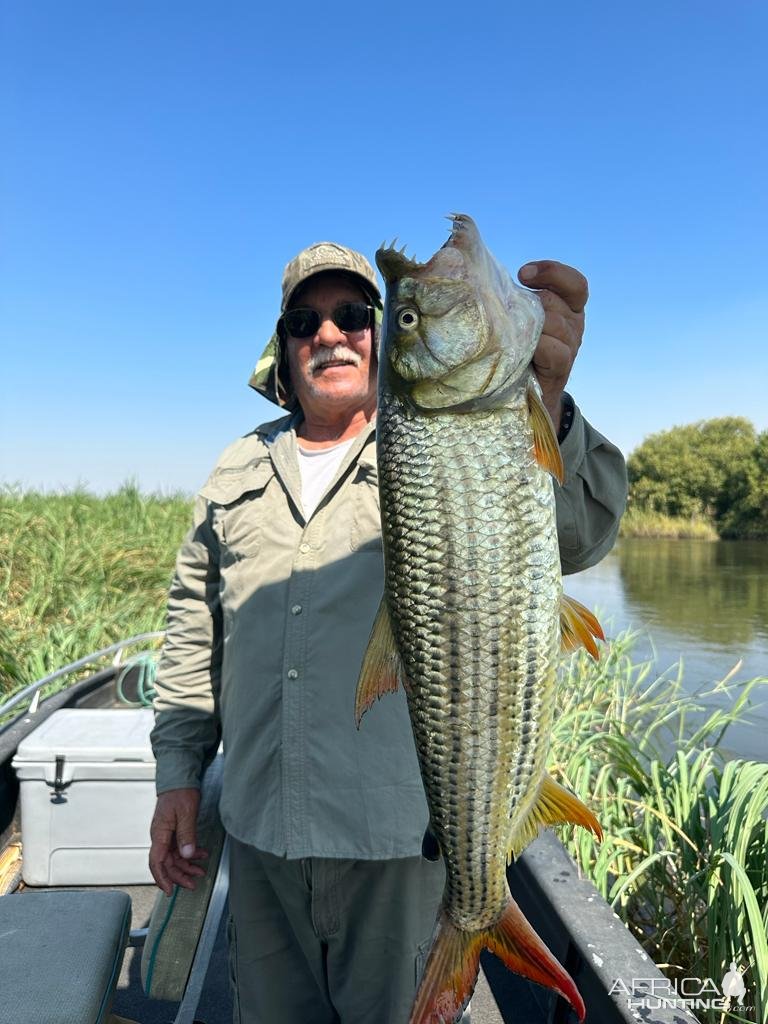 Fishing Tiger Fish Botswana