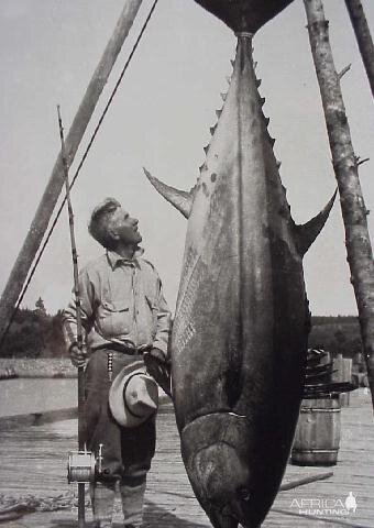 Fishing Tuna