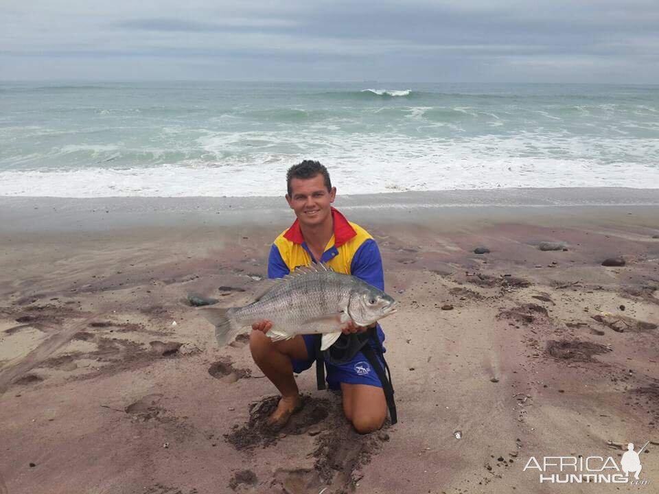 Fishing West Coast Steenbra in Namibia