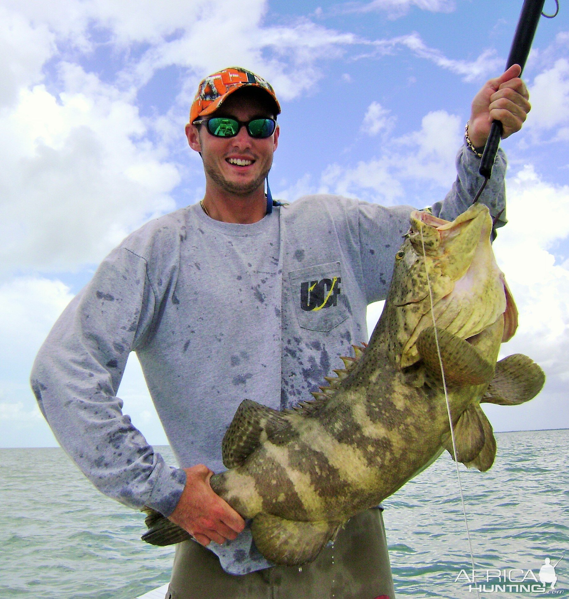 Florida gulf Goliath grouper