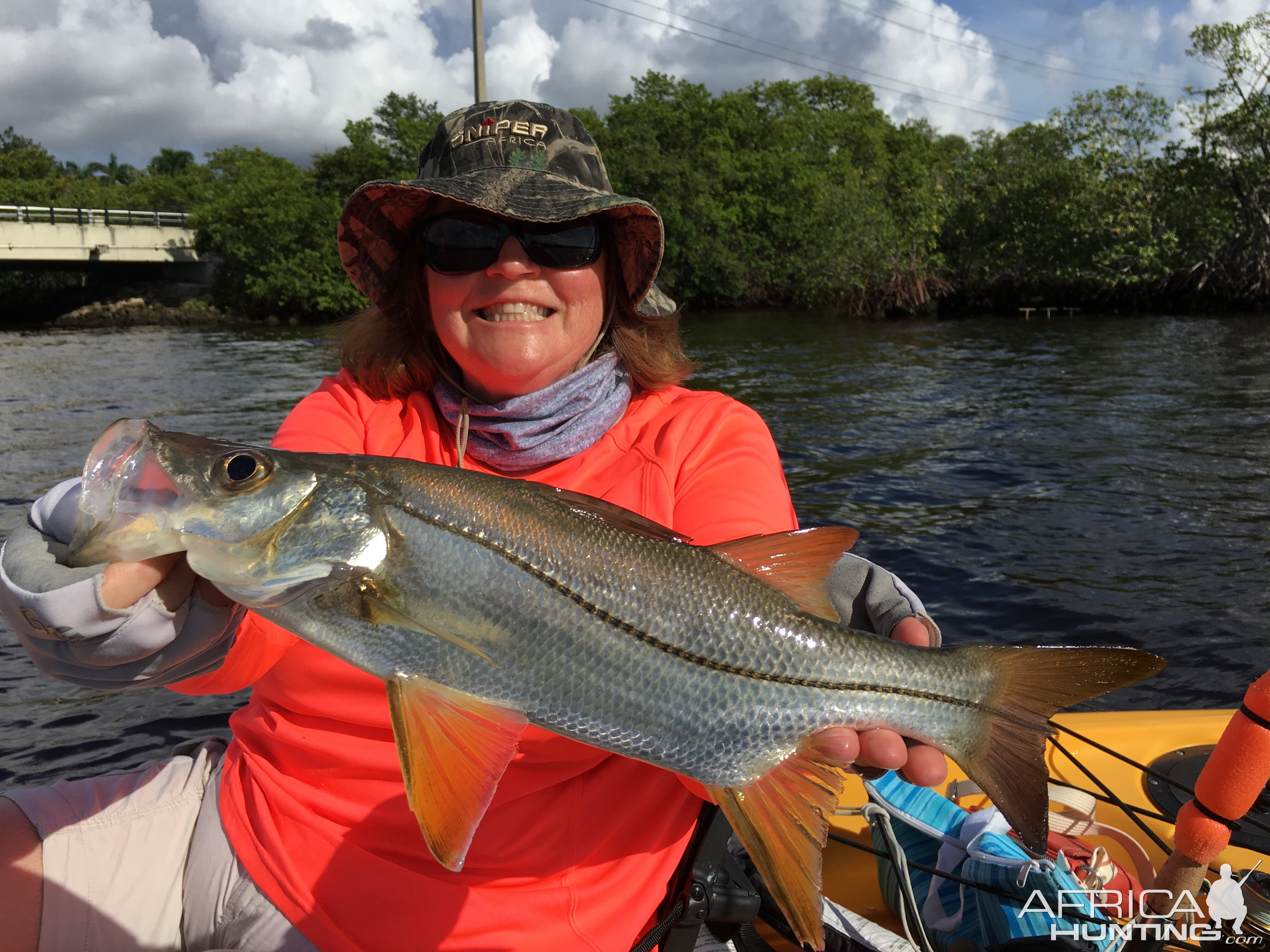 Florida snook