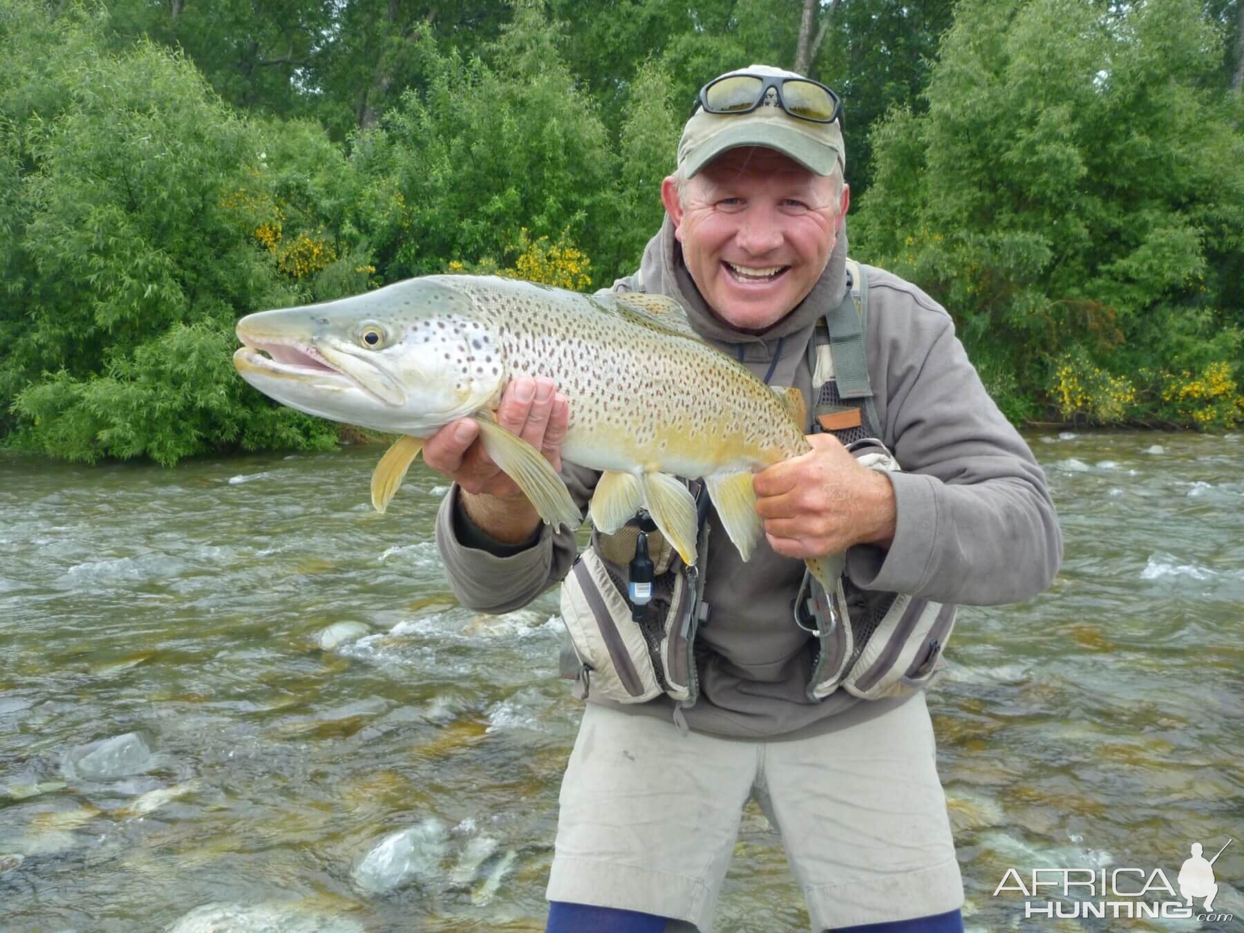 Fly Fishing Brown Trout in New Zealand