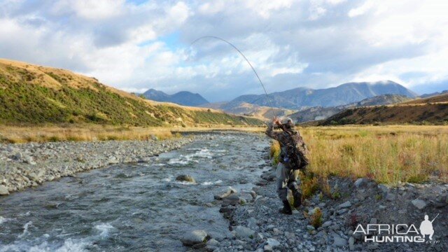 Fly Fishing Trout New Zealand