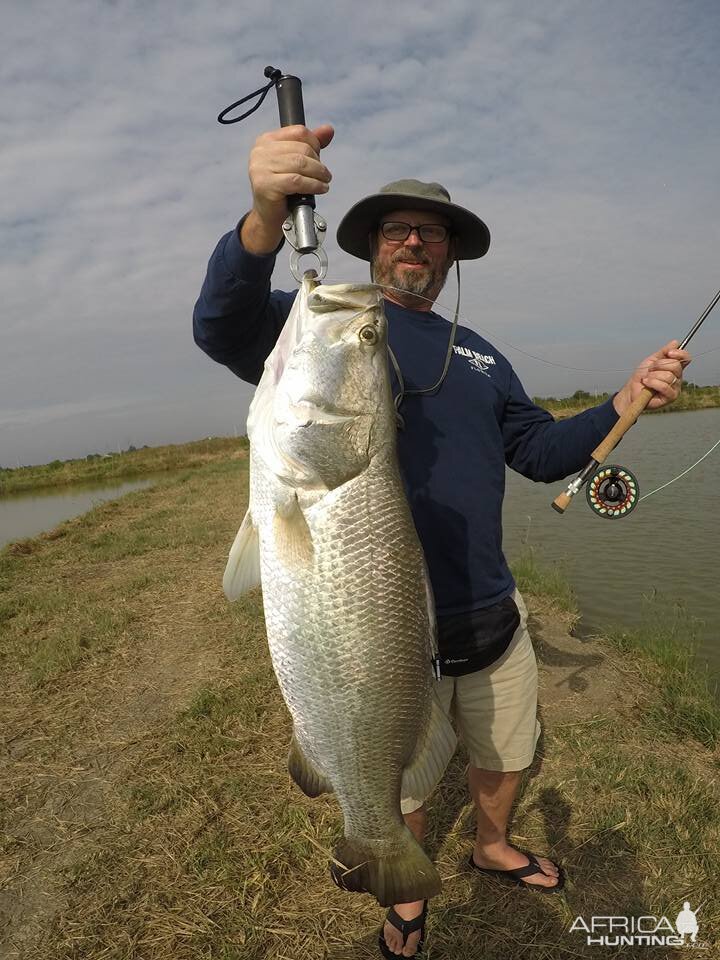 Fly rod barramundi