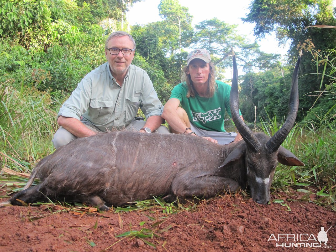 Forest Sitatunga Hunt Cameroon