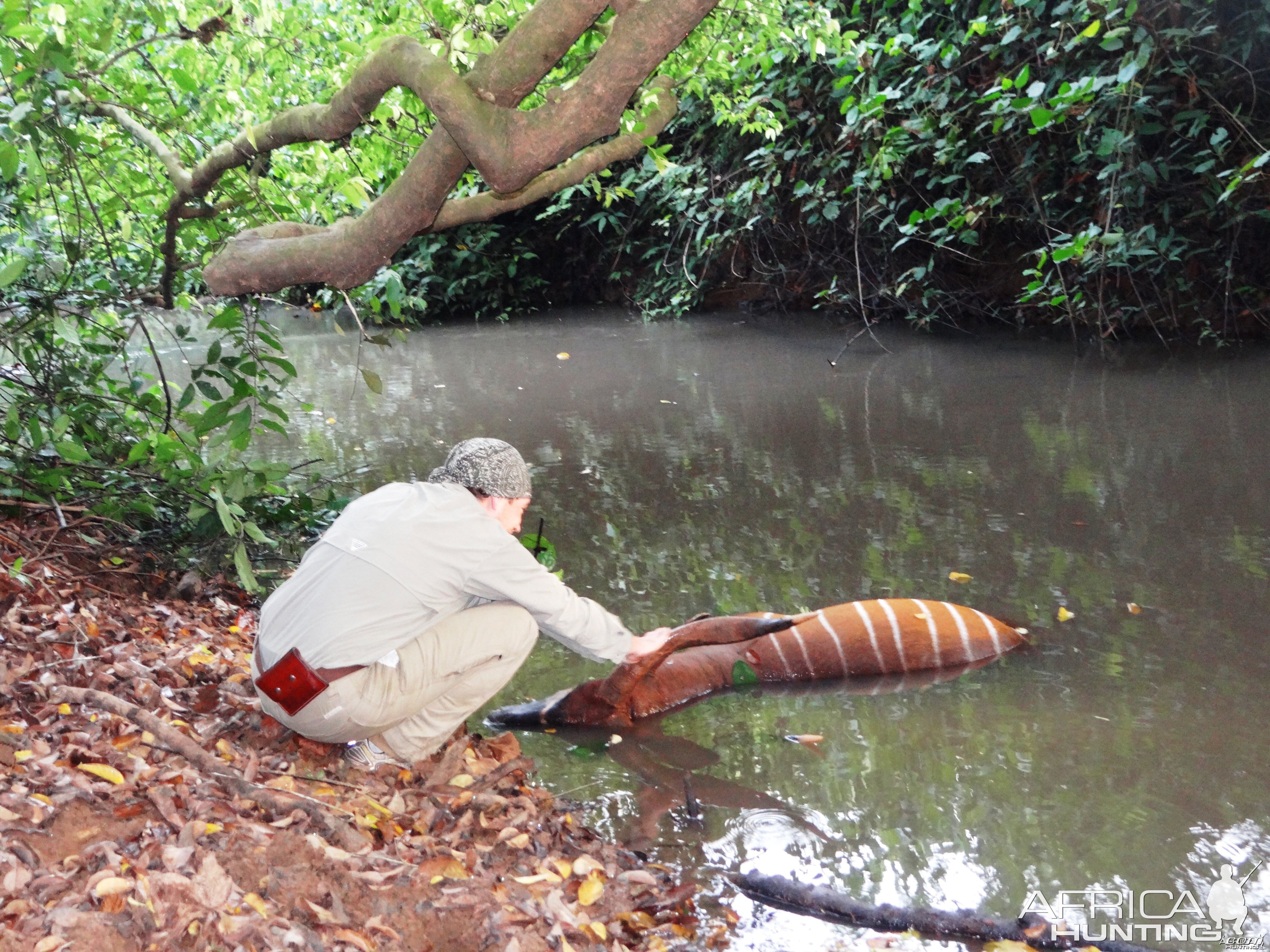 Found this Bongo dead floating in the river....