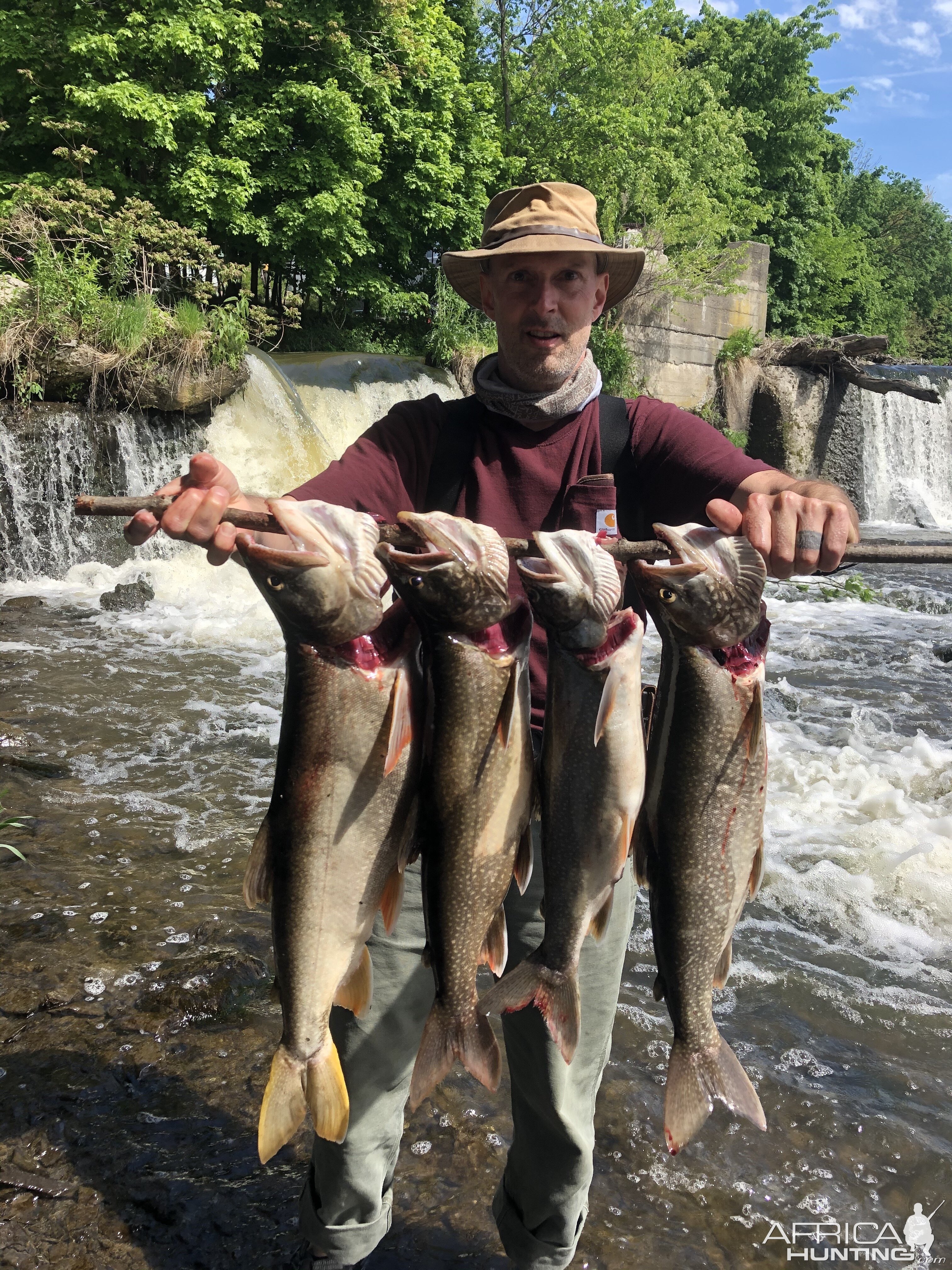 Four Lake Trout - Taken on the Roundout Reservoir in NY.