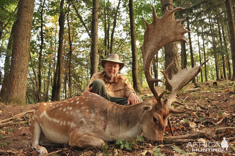 France Hunt Fallow Deer