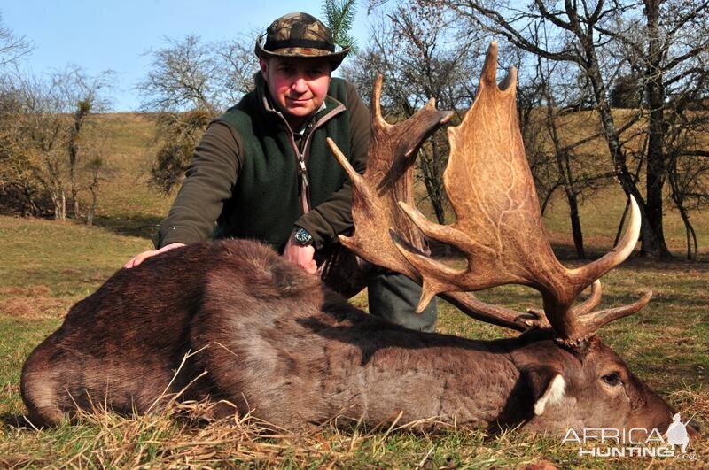 France Hunt Fallow Deer