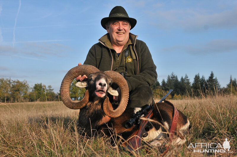 France Hunt Mouflon