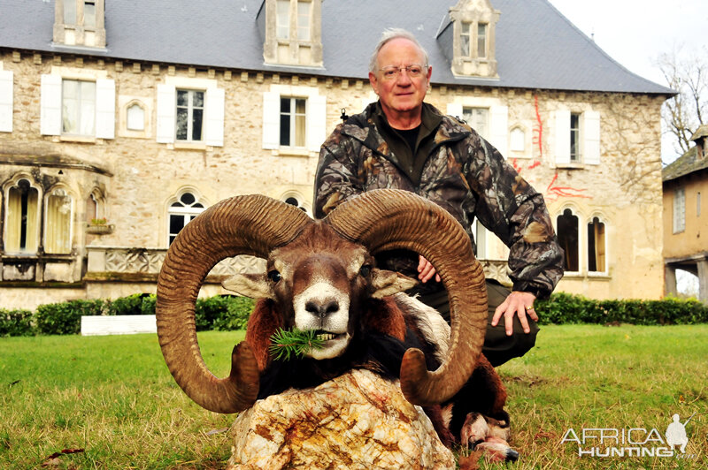 France Hunt Mouflon
