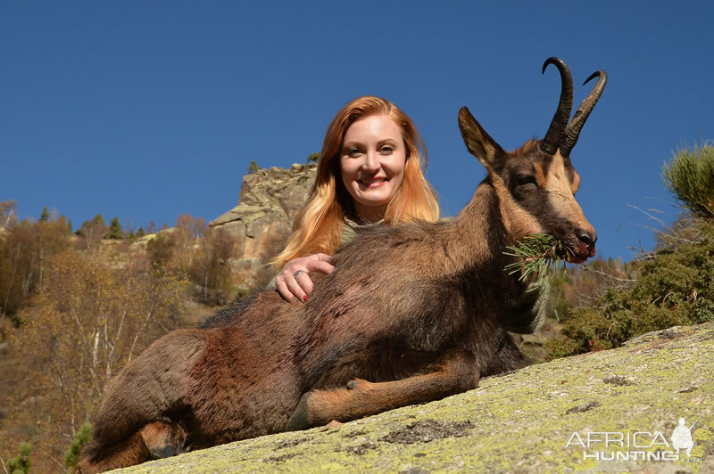 Alpine Chamois, France  Tailored worldwide hunting packages in Turkey &  across the world