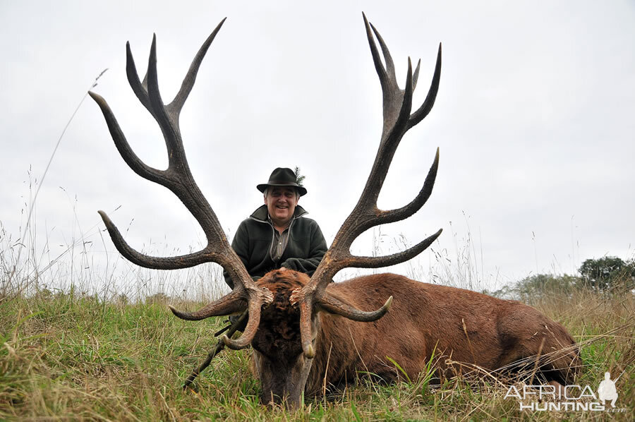 France Hunt Red Stag