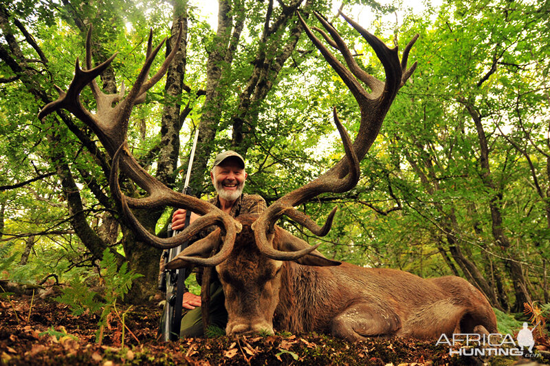 France Hunt Red Stag