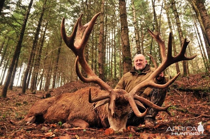 France Hunt Red Stag