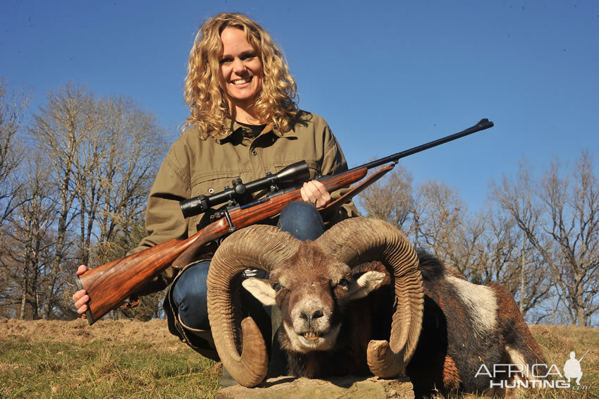 France Hunting Mouflon