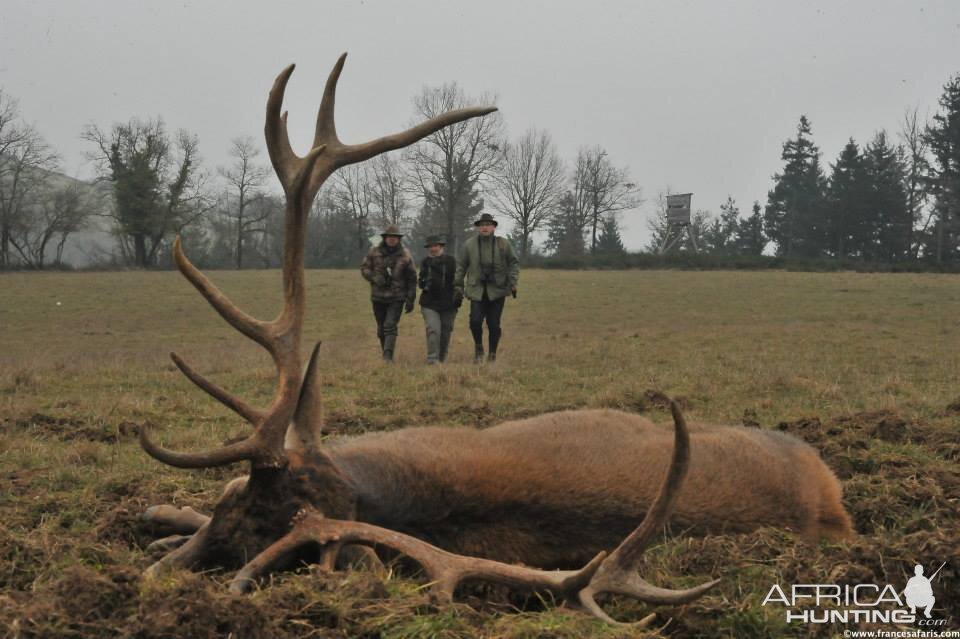 France Hunting Red Deer