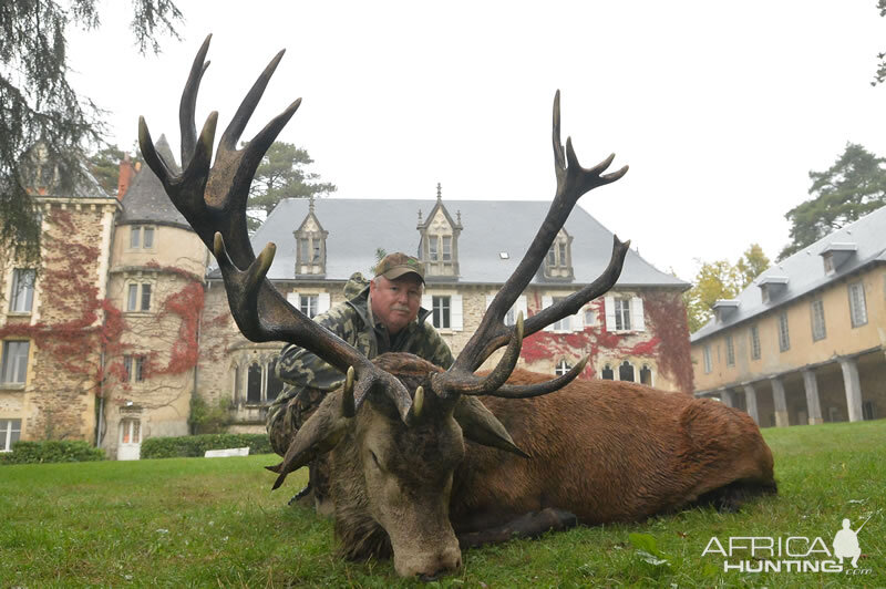 France Hunting Red Stag