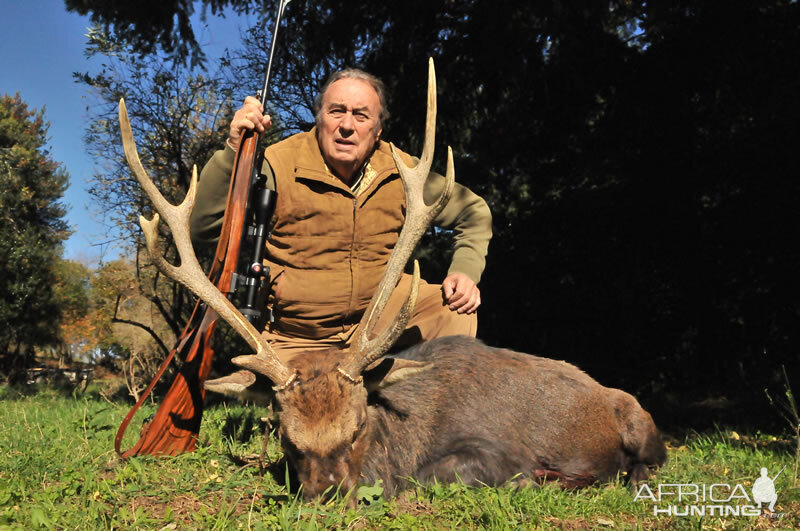 France Hunting Sika Deer