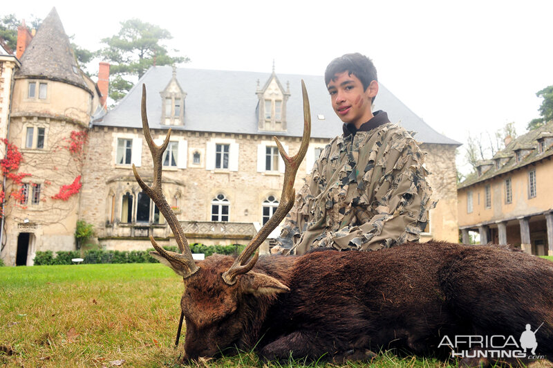 France Hunting Sika Deer
