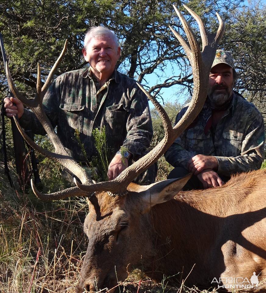 Free-range red stag MG Hunting