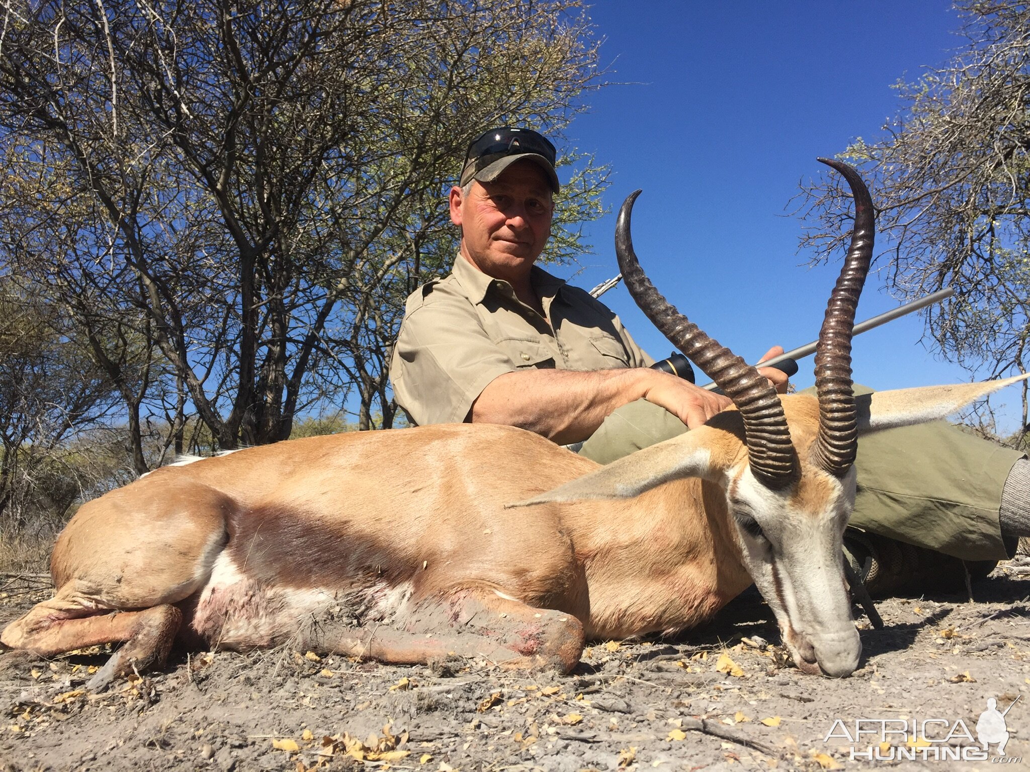 Free range Springbok