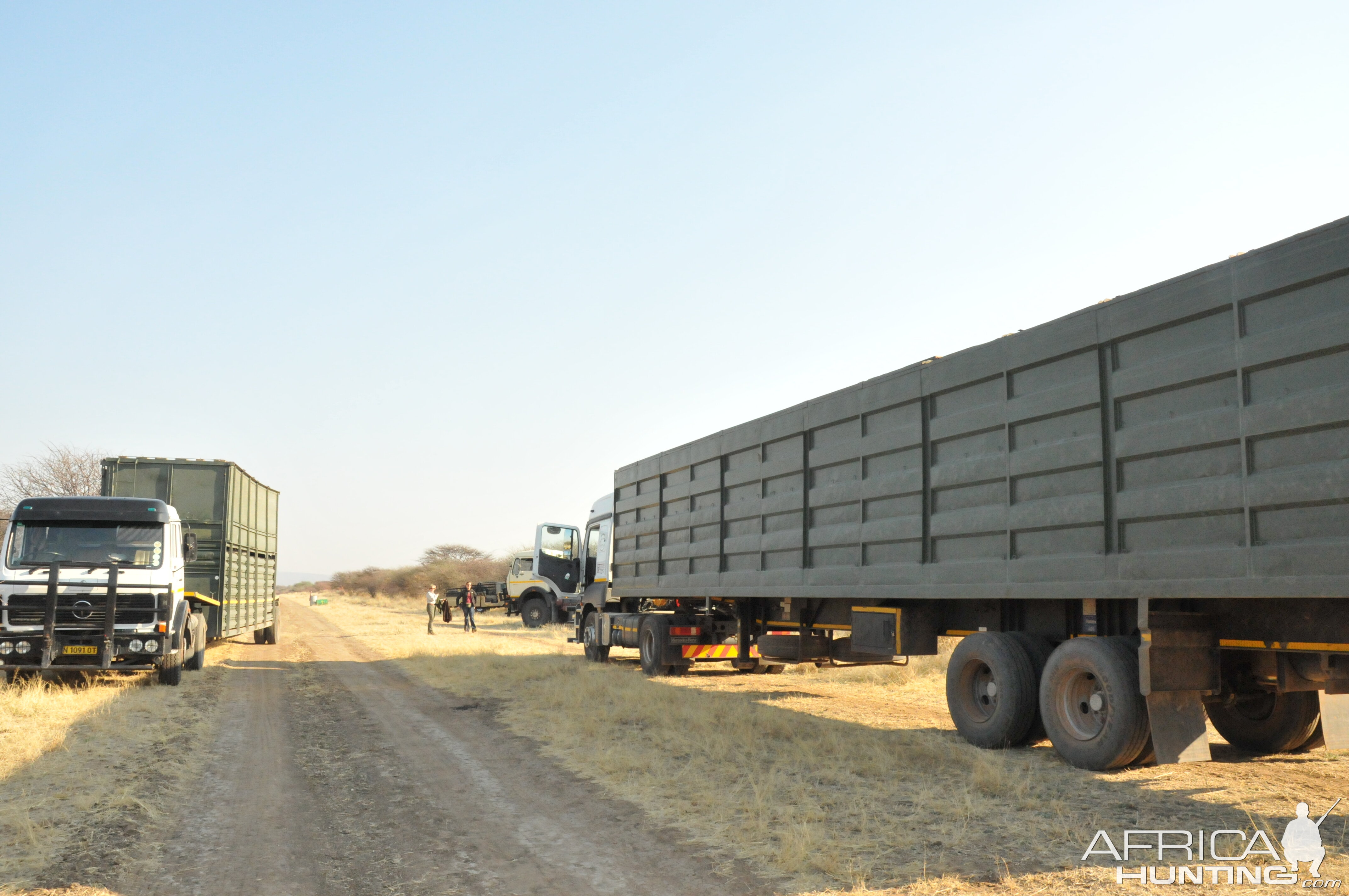 Game Capture Namibia