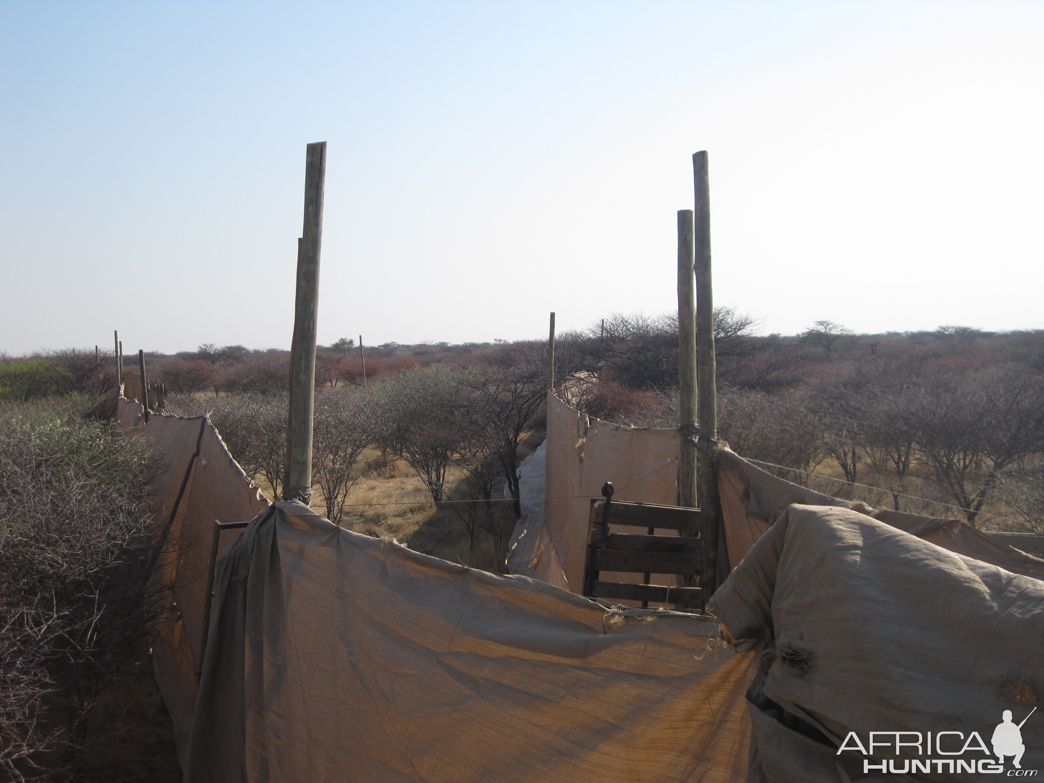 Game Capture Namibia