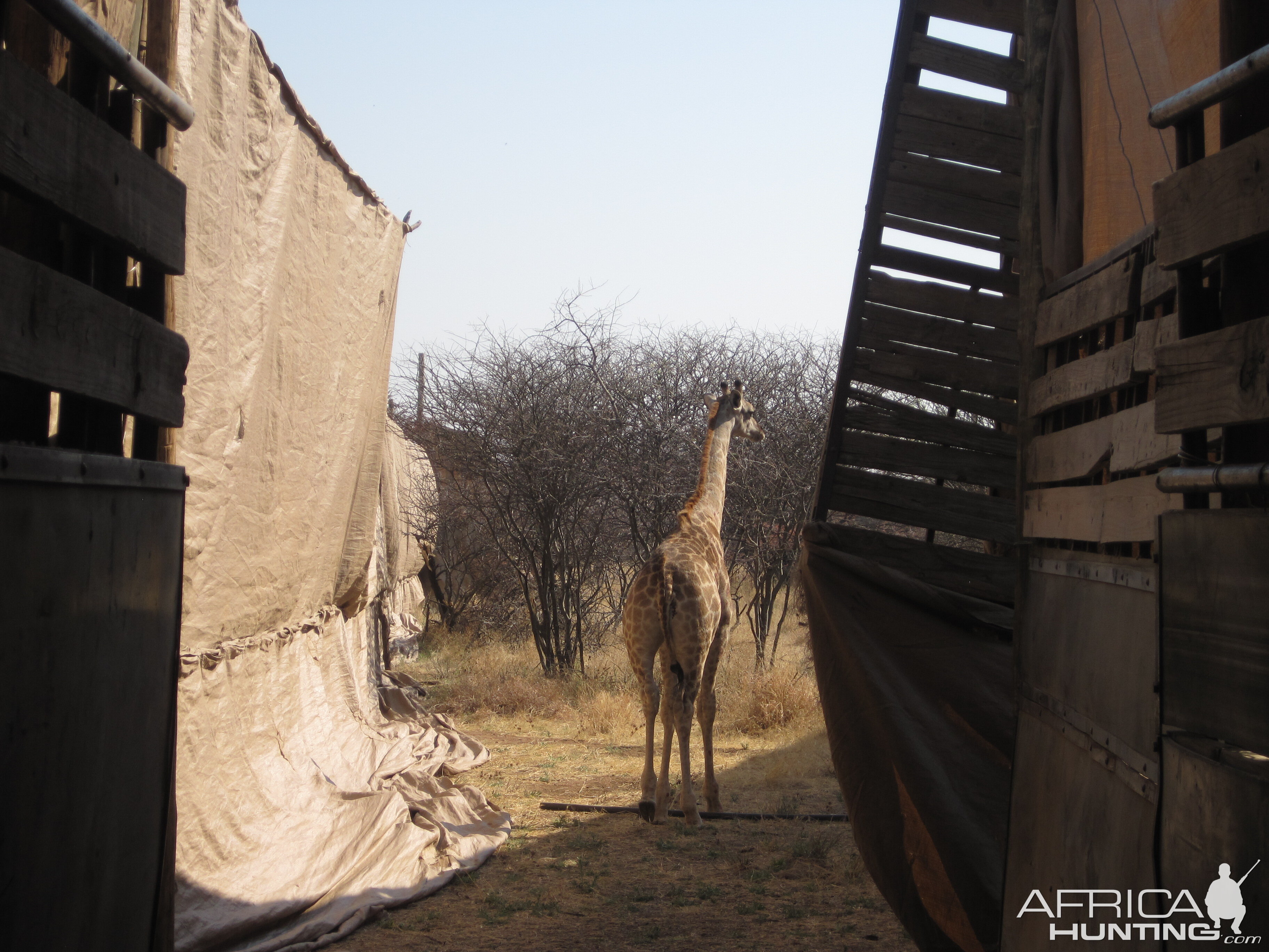 Game Capture Namibia