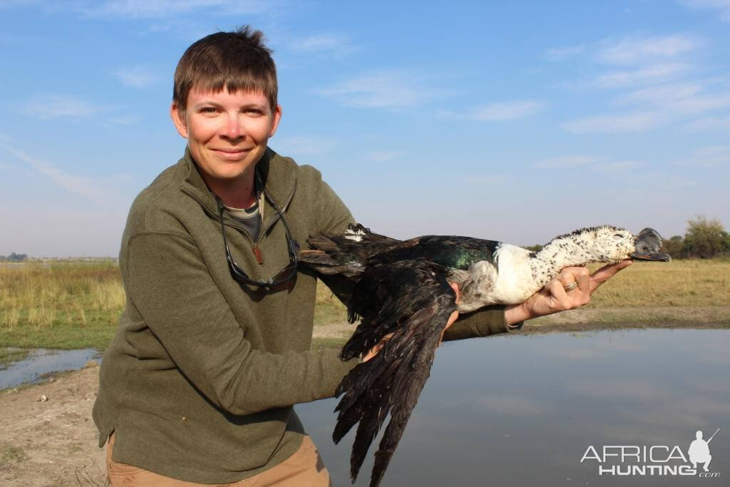 Geese Bird Hunting South Africa