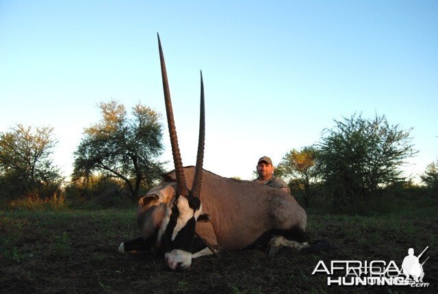 Gemsbok bull hunt in Limpopo RSA - 36 1/4 inches