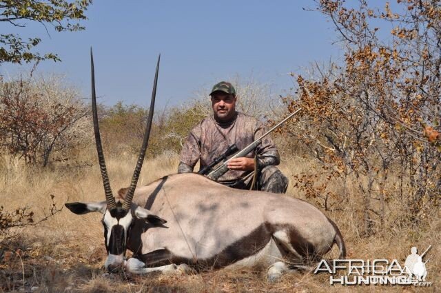 Gemsbok cow Namibia Hunt