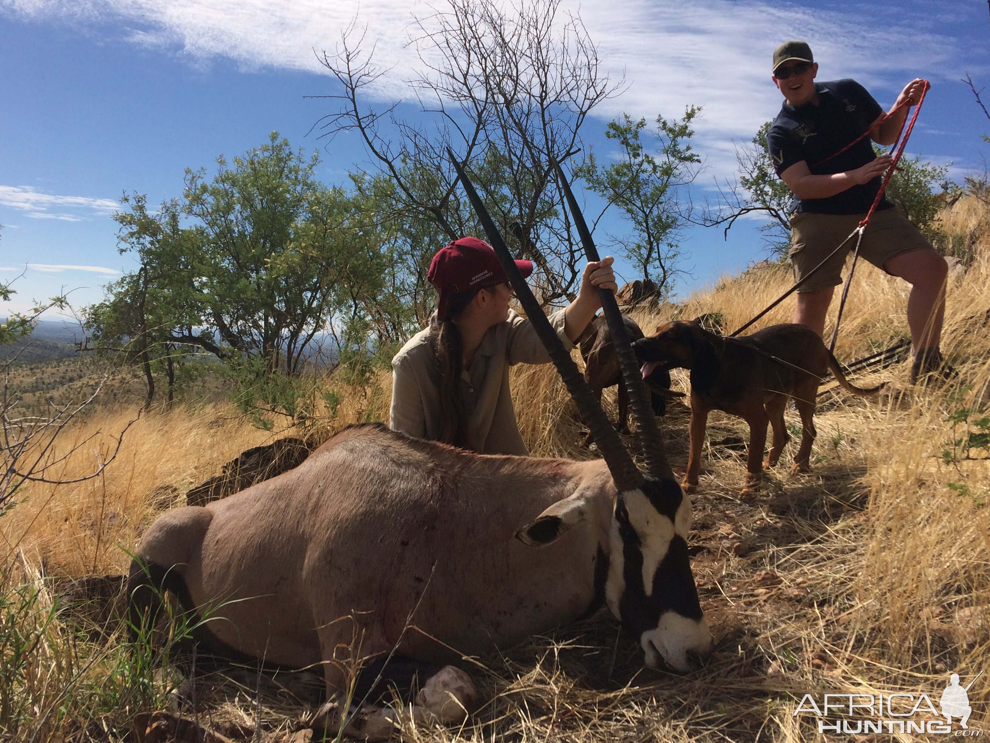 Gemsbok Hunt in Namibia