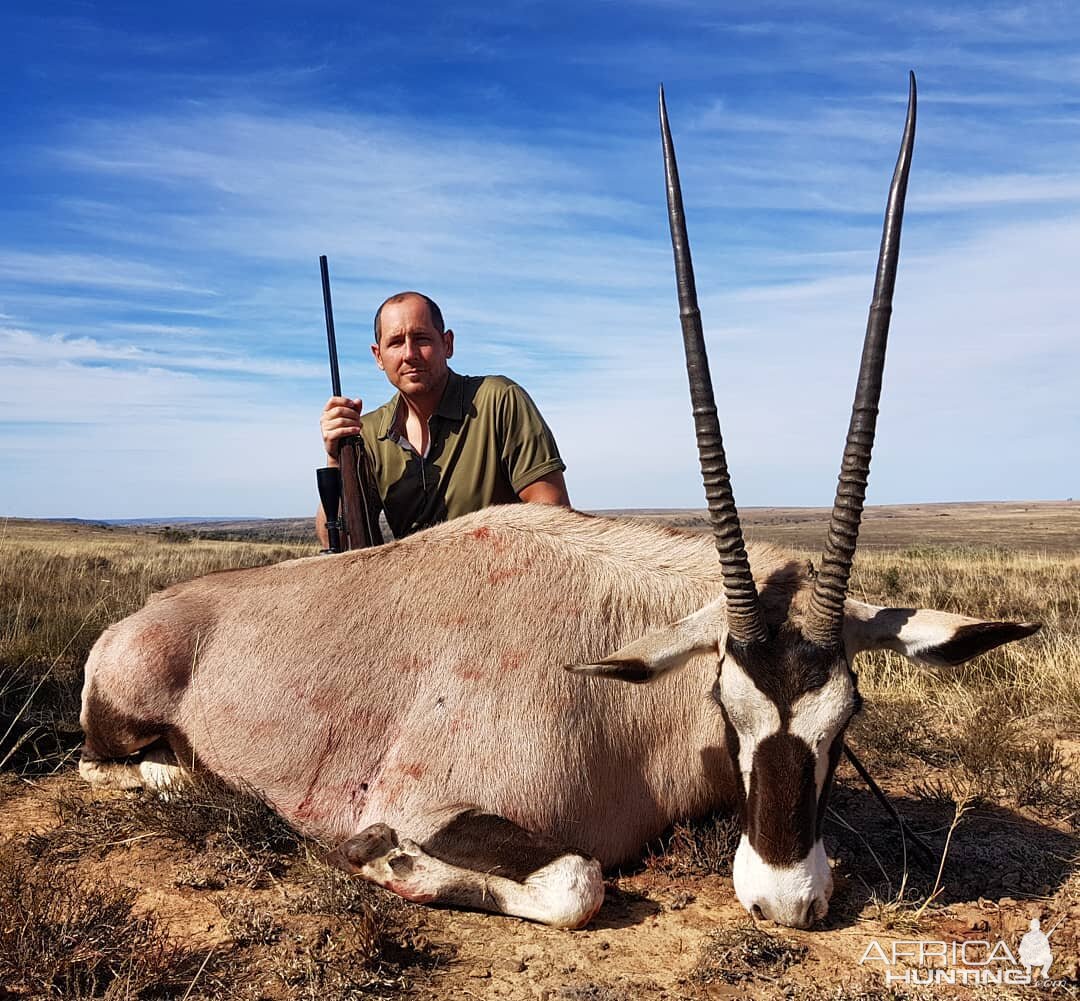 Gemsbok Hunt in South Africa