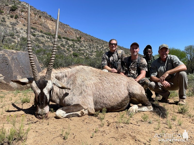 Gemsbok Hunt Karoo South Africa