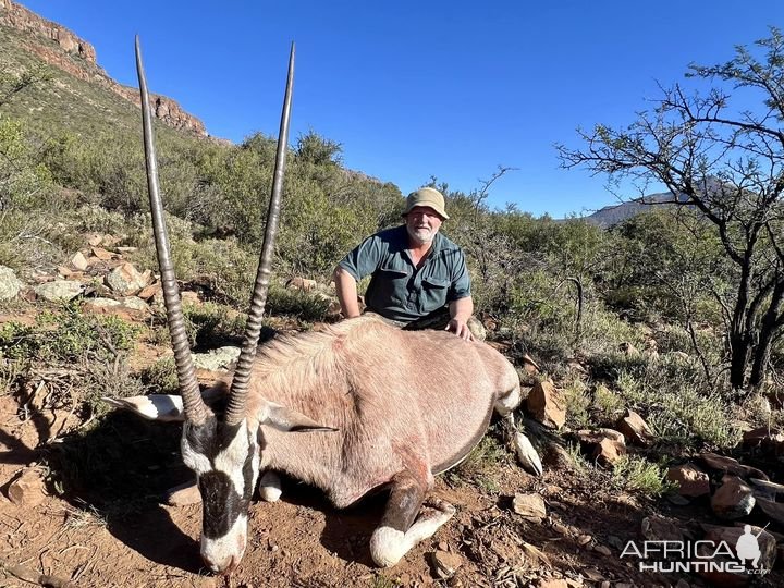 Gemsbok Hunt Karoo South Africa