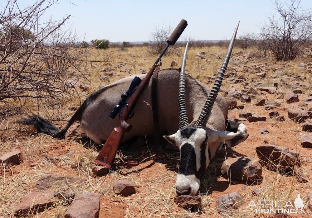 Gemsbok Hunt Namibia