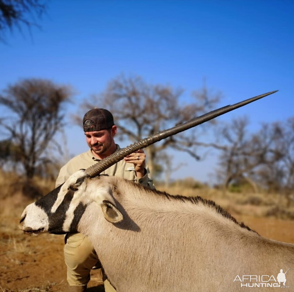 Gemsbok Hunt South Africa