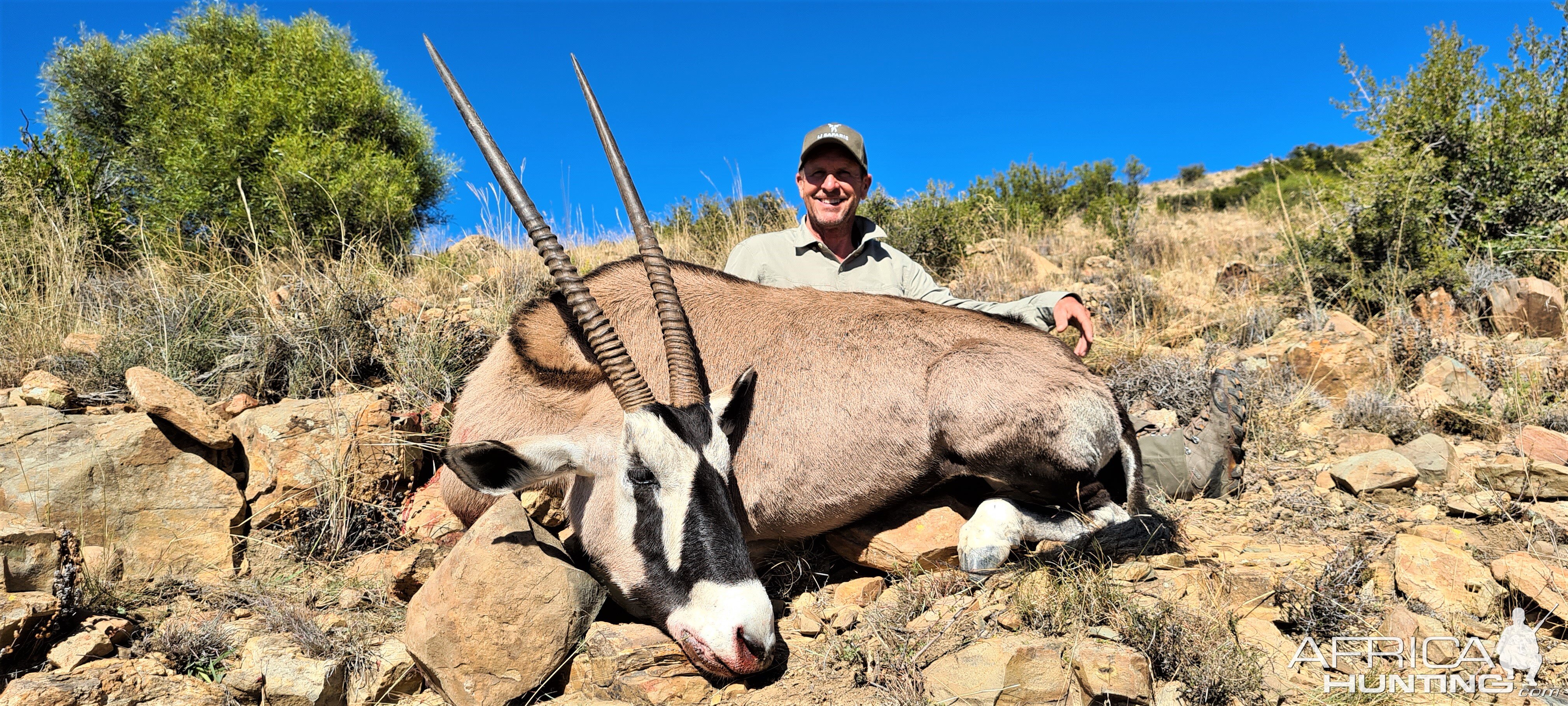 Gemsbok Hunt South Africa