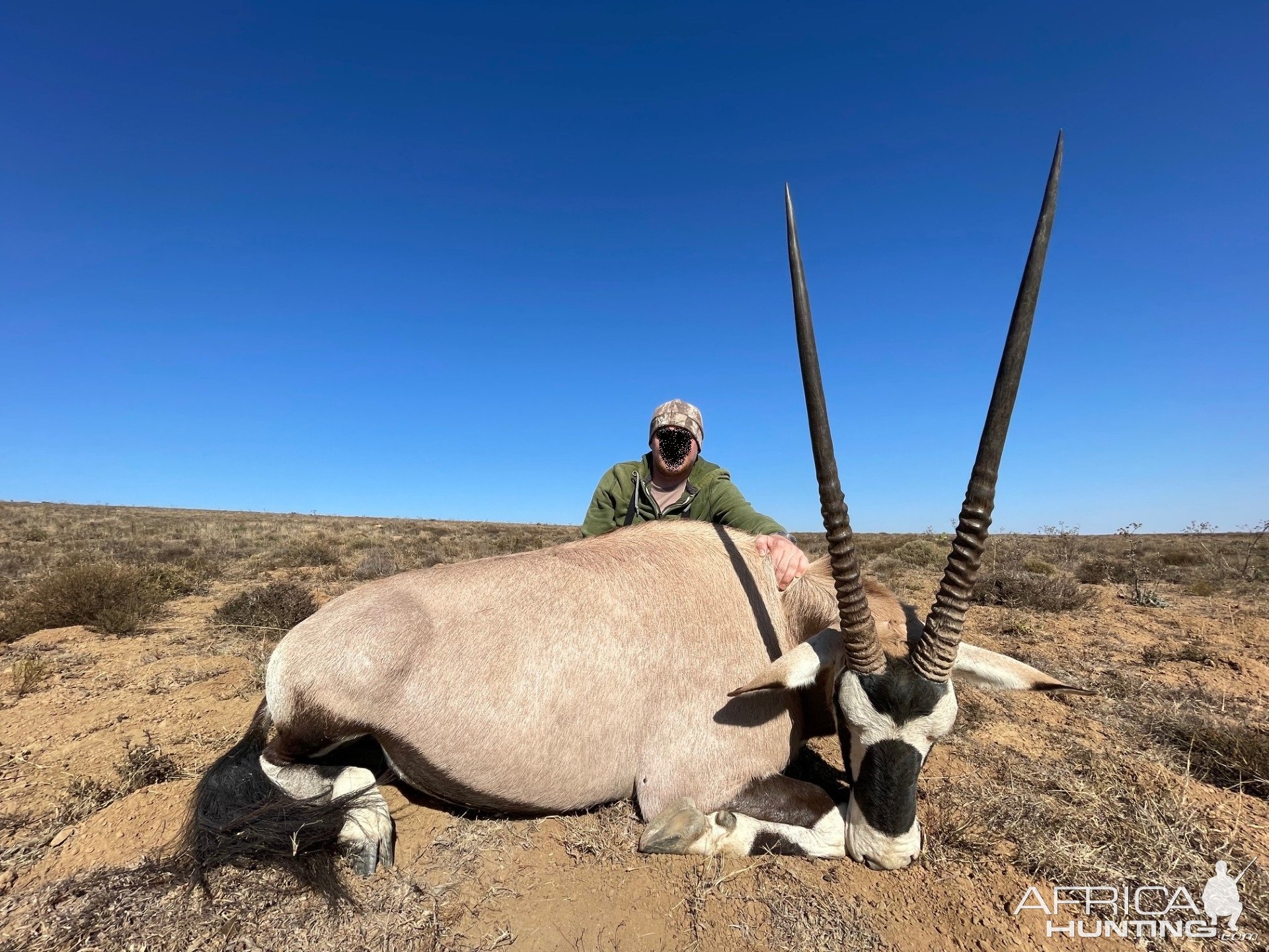 Gemsbok Hunt South Africa