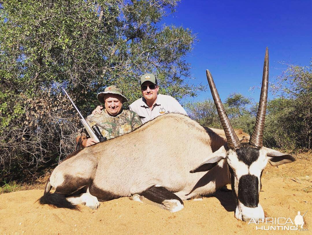 Gemsbok Hunt South Africa