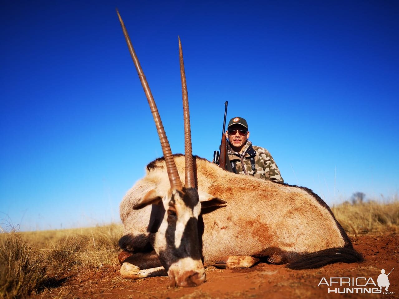 Gemsbok Hunt South Africa