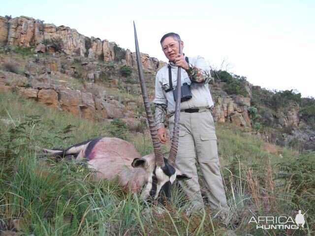 Gemsbok Hunt