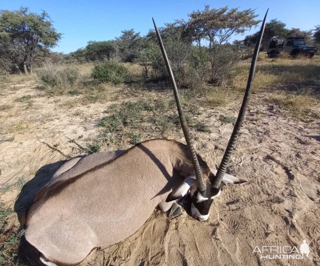 Gemsbok Hunting Botswana