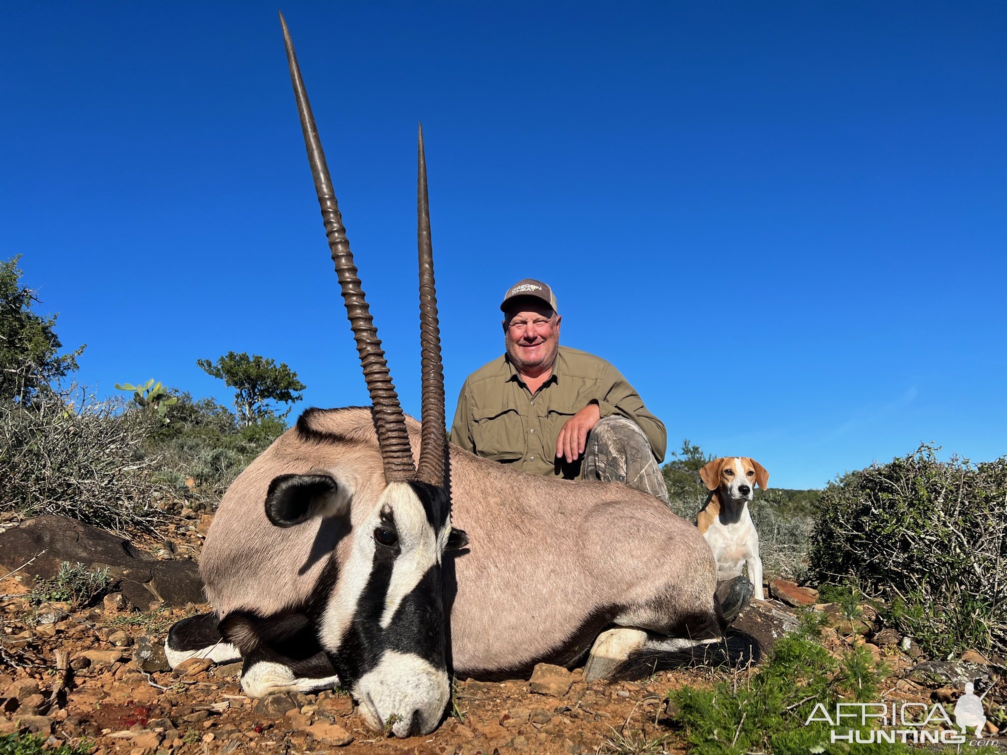 Gemsbok Hunting Eastern Cape South Africa | AfricaHunting.com