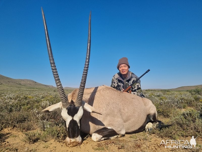 Gemsbok Hunting Eastern Cape South Africa