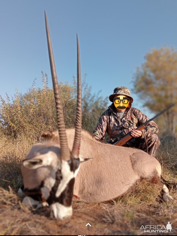 Gemsbok Hunting Limpopo South Africa